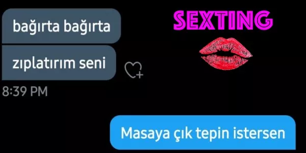 https://onedio.com/haber/mesajlasarak-sevismeyi-tercih-edenlerin-costurucu-yontemi-sexting-ile-ilgili-birtakim-detaylar-946503